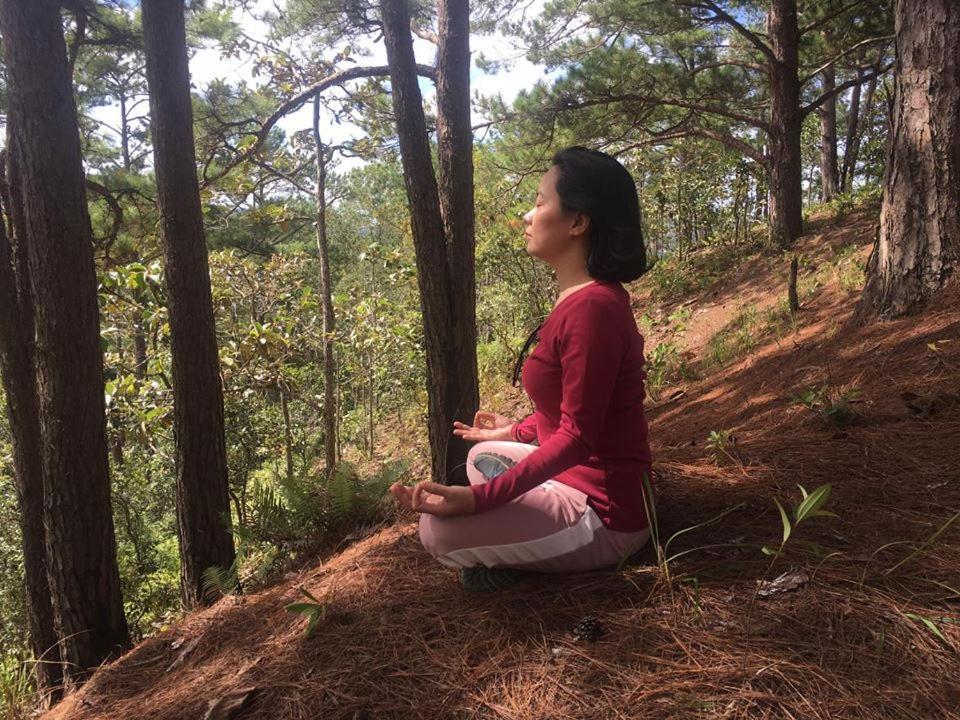 Farmstay O A Phao - Km37 Ham Yen Tuyen Quang Экстерьер фото